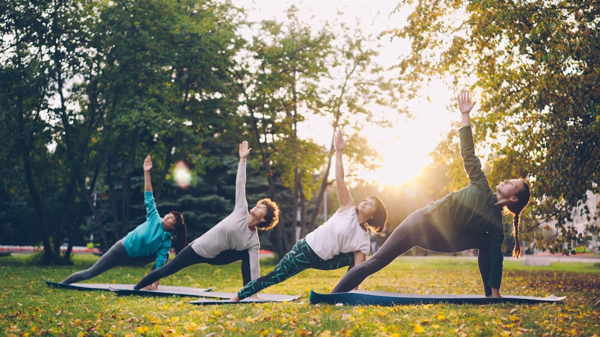 Good-looking women in sports clothing are doing yoga exercises in park on sunny day in autumn enjoying practice and nature. Youth, healthcare and sports concept.